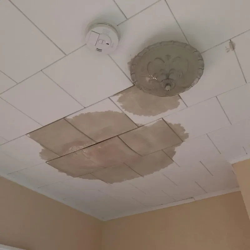 Ceiling Water Damage Repair in Taunton, MA