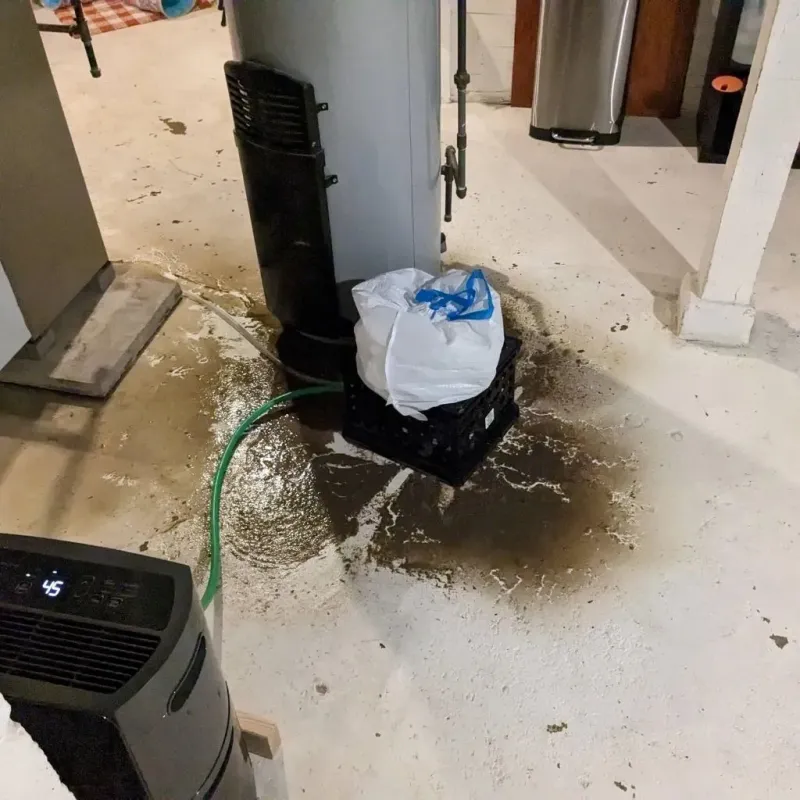 Sewage Backup Cleanup Service in Taunton, MA